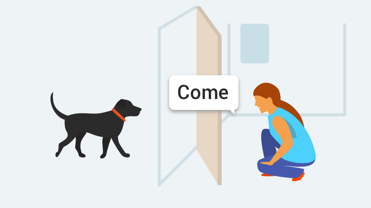 Learn how to train your dog to Come with GoodPup.