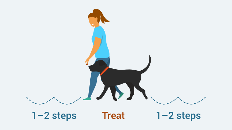 Learn how to train your dog to Heel with GoodPup.