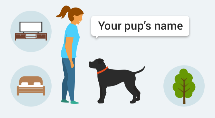 Learn how to train your dog to Name with GoodPup.